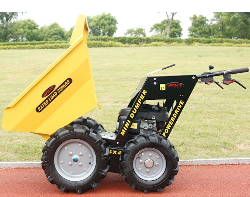 Dumper Rowerg Mini Dumper ANT 250S (Loncin Powered)
